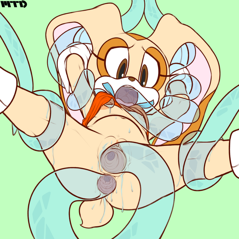 13d3d24f-0050-453b-a323-ee0568e12d6a-0-1748407857702.png