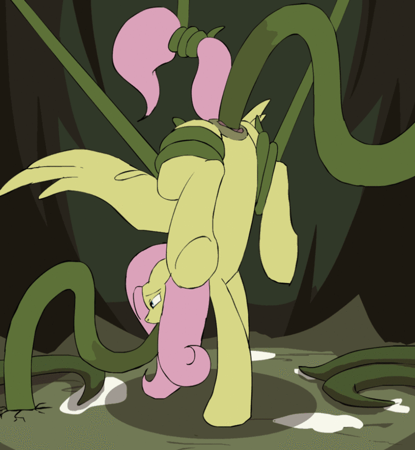 a9ca0998-2e6a-4f12-bcf5-27714fc4d38b-0-1747018908363.gif